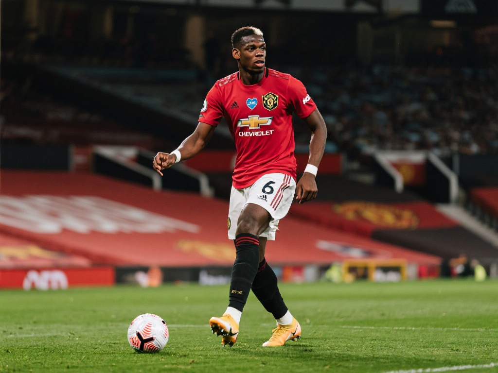 东尼的机会 东尼的机会